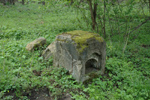 Brusov 5.2005x (36K)