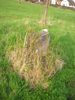 DSCN2303x (22K)